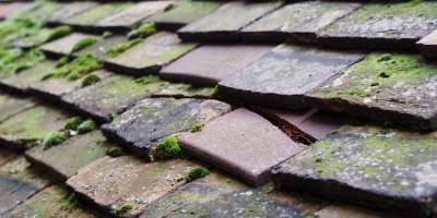Old Clipstone roof repair costs